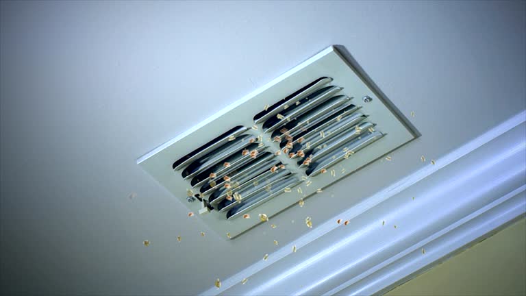 Best Affordable HVAC Duct Cleaning  in Park Hills, MO