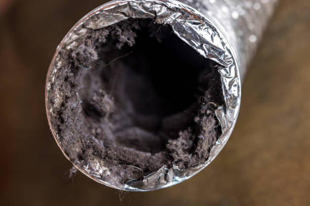 Best Professional Duct Cleaning Services  in Park Hills, MO